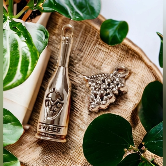 Wine Bottle and Grapes Charms - Picture 2 of 7